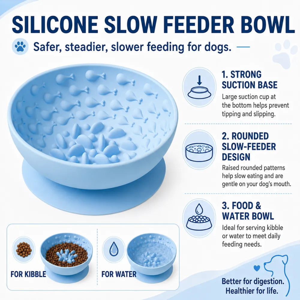 Blackpine PaceBowl — Silicone Slow Feeder